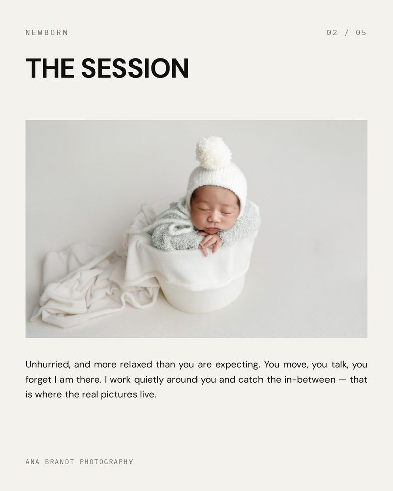 Bone Carousel — made in the Studio Social System