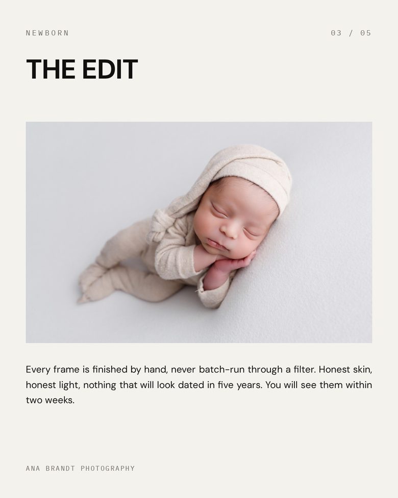 Bone Carousel — made in the Studio Social System