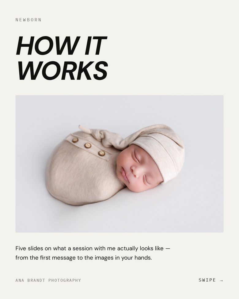 Bone Carousel — made in the Studio Social System