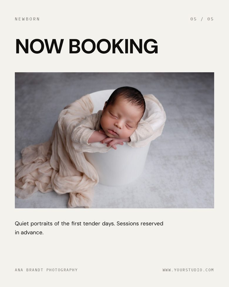 Bone Carousel — made in the Studio Social System