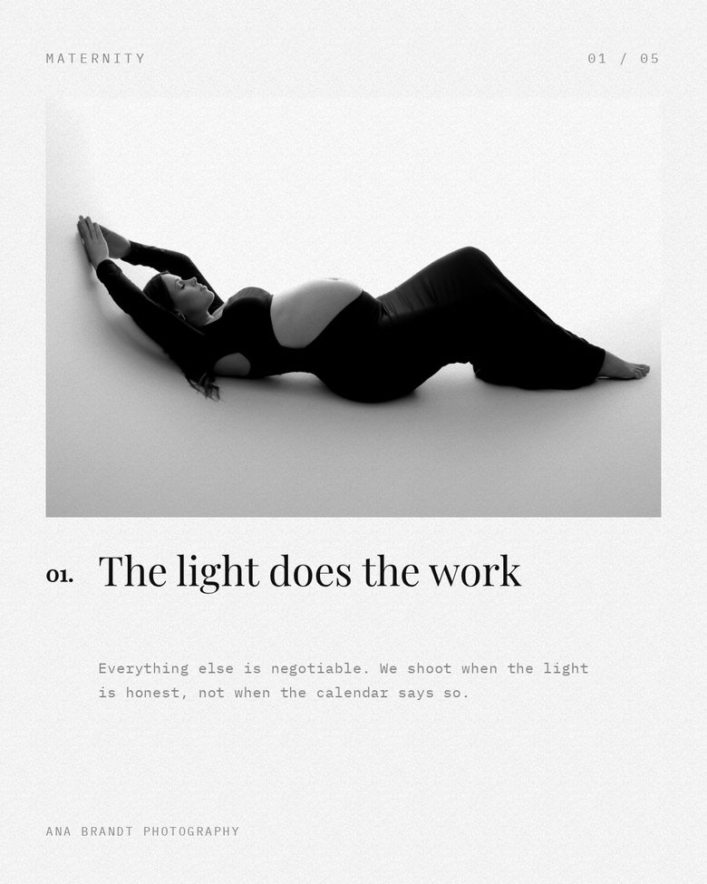 Noir Carousel — made in the Studio Social System