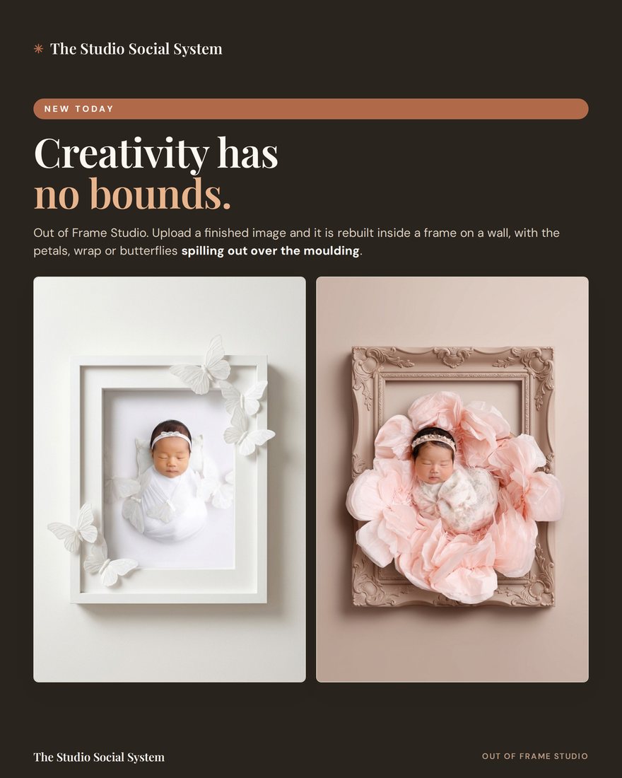 Newborn images rebuilt inside frames with butterflies and petals spilling over the moulding