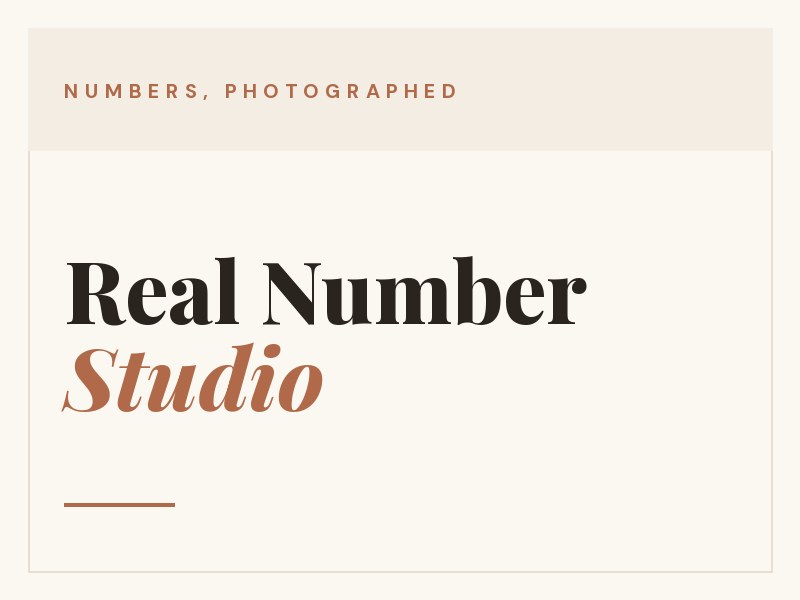 Real Number Studio